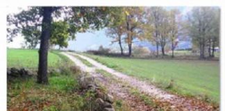 Les changements politiques et l’évolution